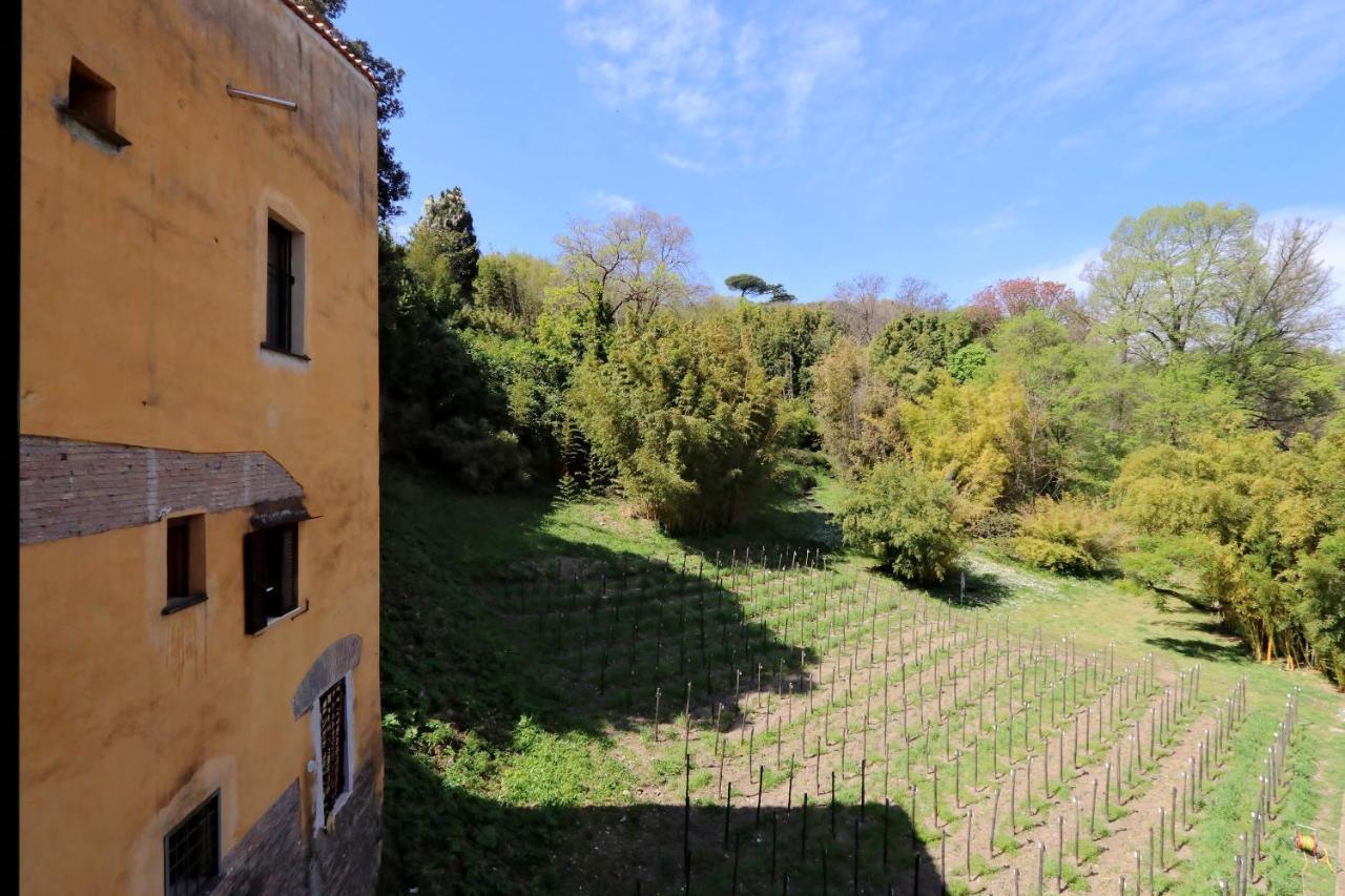 Il Mulino Di Trastevere - My Extra Home Rom Exteriör bild
